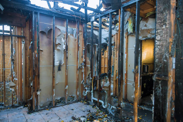 Professional Soot Cleanup technician working in Camden, OH